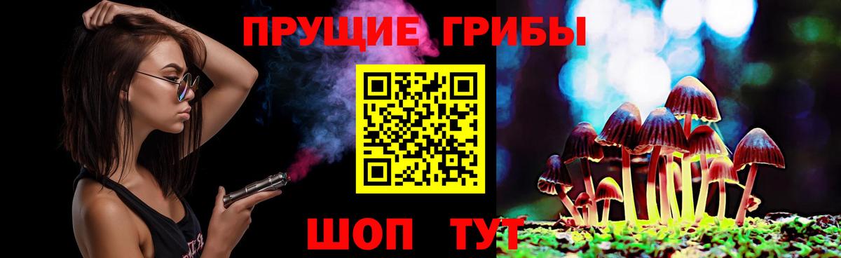 Галлюциногенные грибы Cubensis  Псилоцибиновые грибы Psilocybine cubensis  Елец  Вход с VPN 